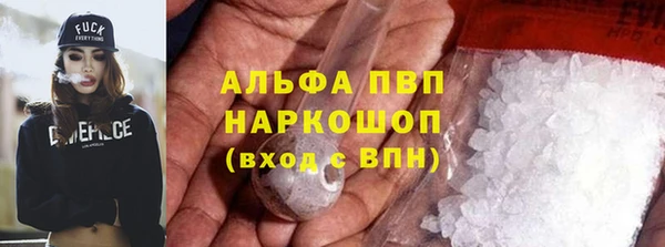 прущие грибы Баксан