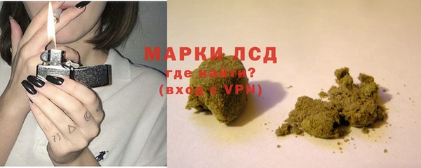 прущие грибы Баксан