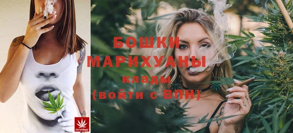 прущие грибы Баксан